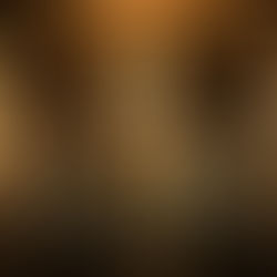 Oscar Best Picture Nominees: Who Will Take Home Best Picture?