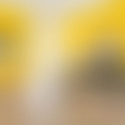 African Passions Exhibition Portugal