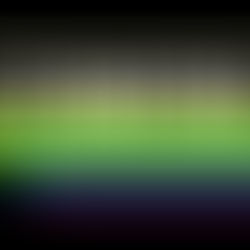 Celebration of Juneteeth Comes to Reality for Americans