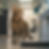 kainumai_58876_A_curious_yet_calm_cat_exploring_a_veterinary_cl_8ef3ff8c-810b-4fae-b9a0-16