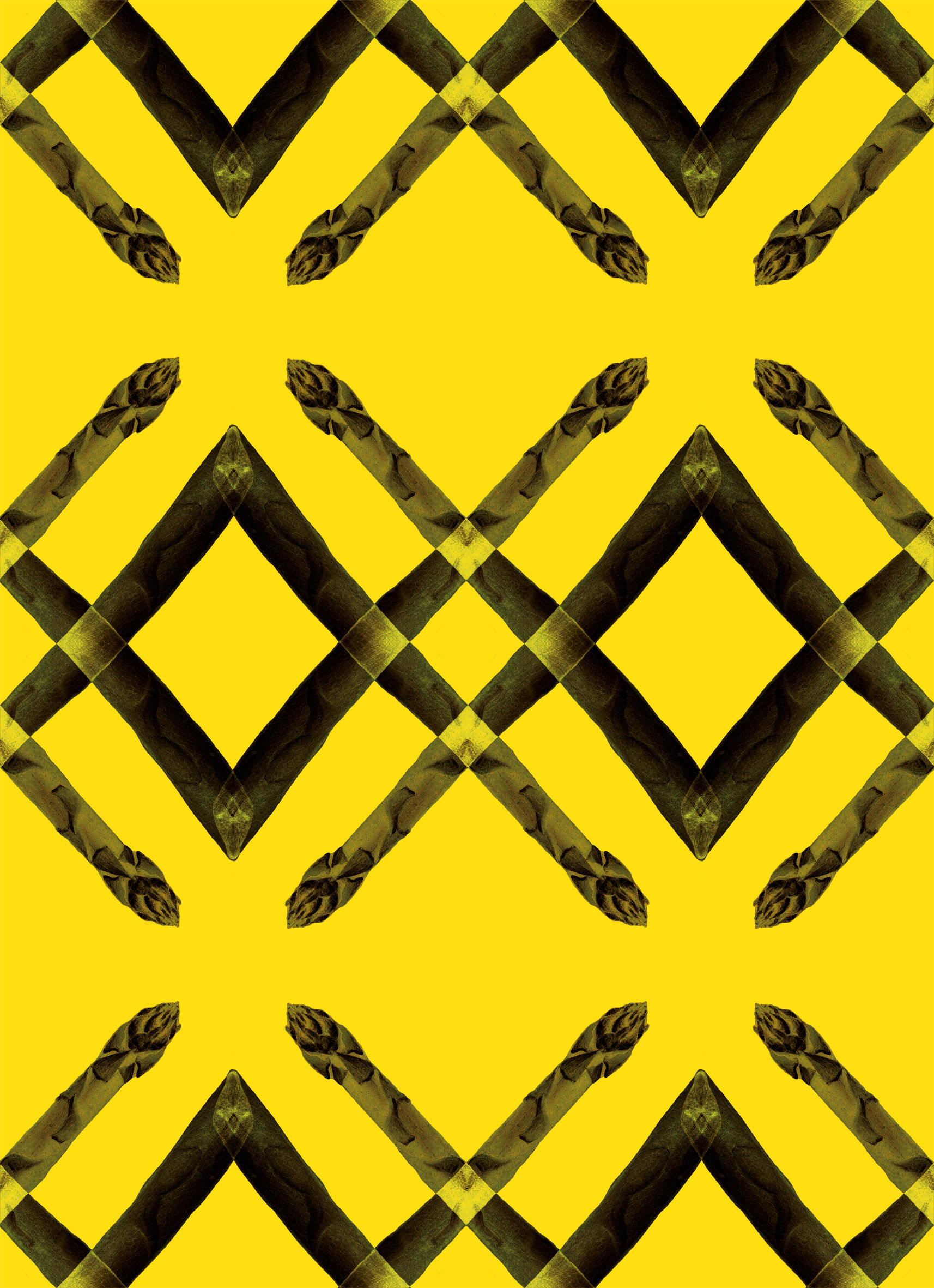 Asparagus Pattern II Dark Edition