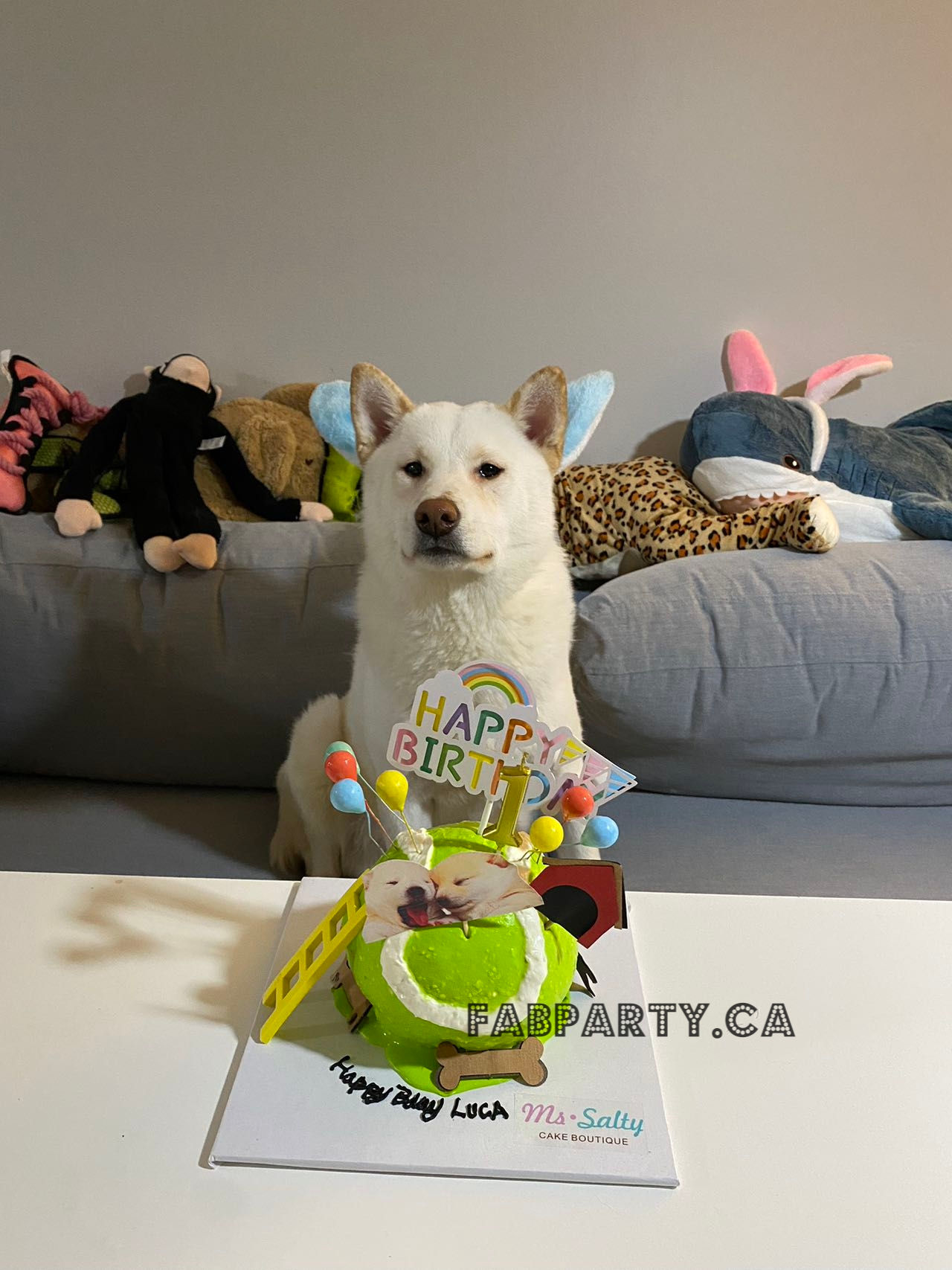 猫狗食用蛋糕造型008（猫狗食用）