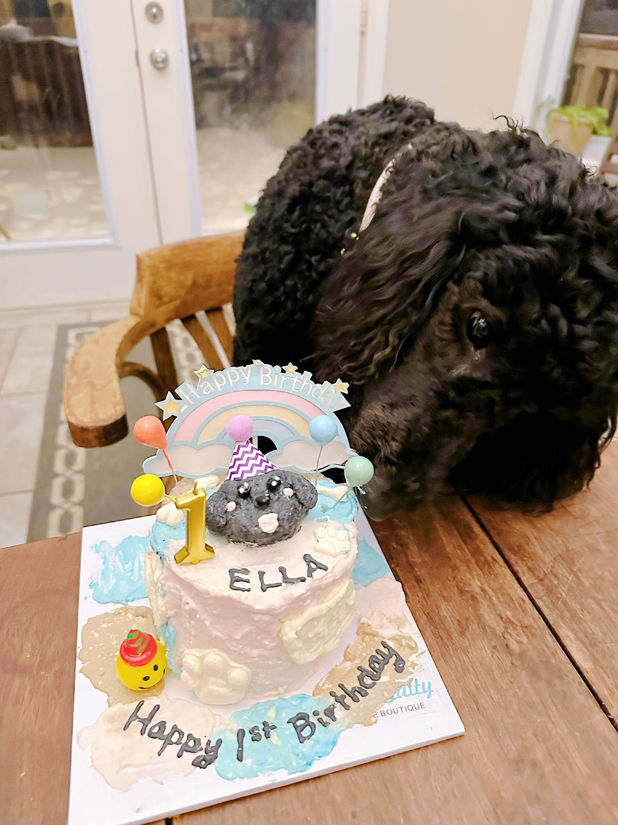 猫狗食用蛋糕造型007（猫狗食用）