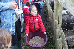 EY girl with animal feed.jpg