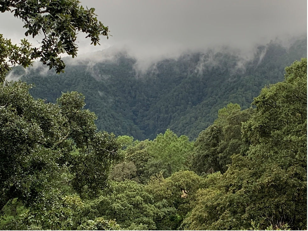 teotitlan.jpg