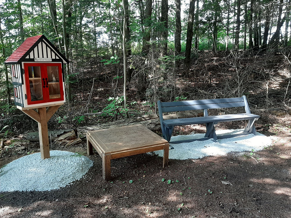 White stone at Haliburotn Lions Free Little Library