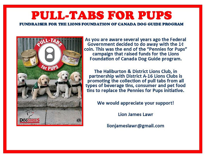 Pull Tab 4 posters updated May 2025.jpg