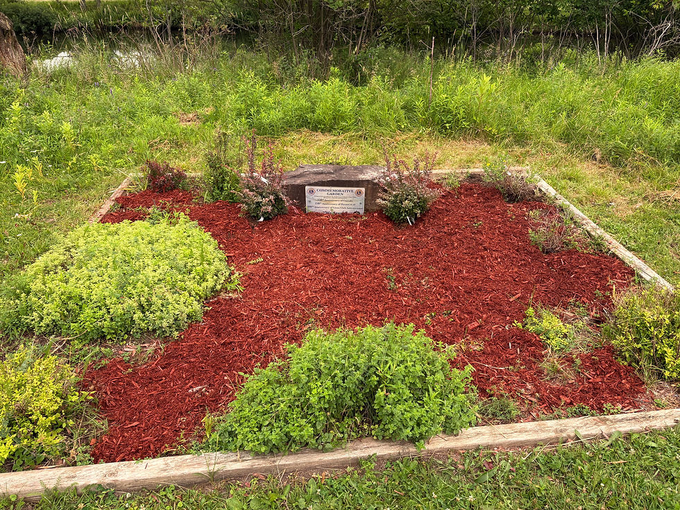 Final Commemorative Garden refurbishment 2026