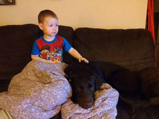 Gunner - A Quiet Kind of Love