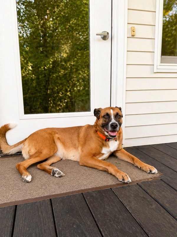 Marley 🩵 - Held Close, Always