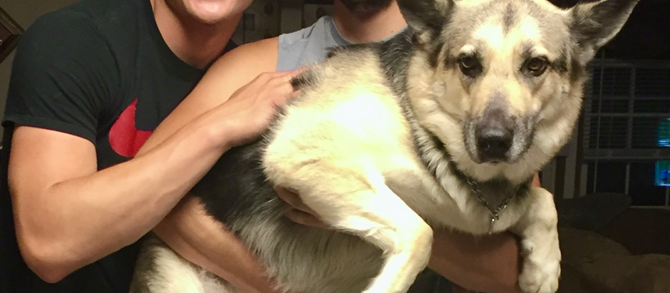 Honoring Sadie's Beautiful Life