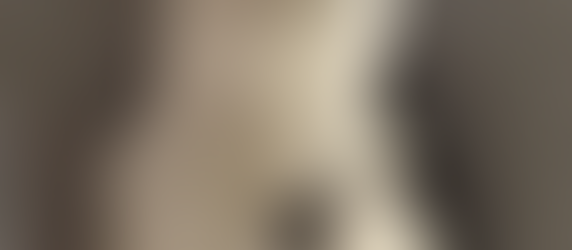 From Firehouse Stray to Forever Family