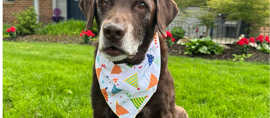 A Life of Loyalty and Love: Remembering Buddy