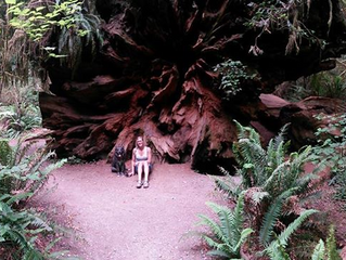 From the Red Wood Forests to the Monterey Waters...