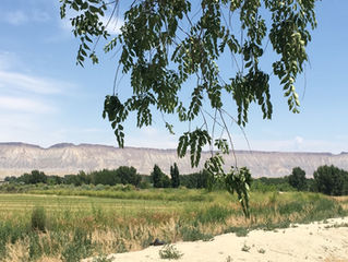 The Great Western Brewery and Disc Golf Tour Pt I; Colorado (Again)