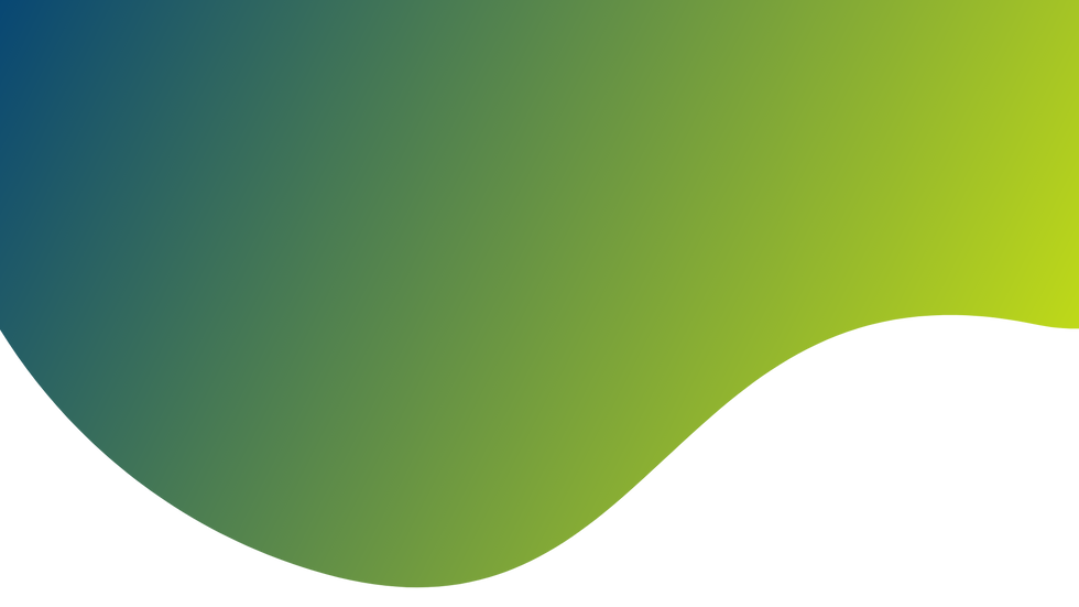 immagina iniziale LP.png