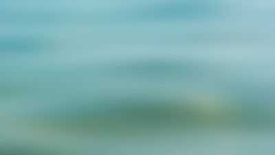 blur_edited.jpg