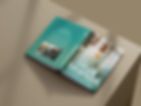 Free_Book_Mockup_8.jpg