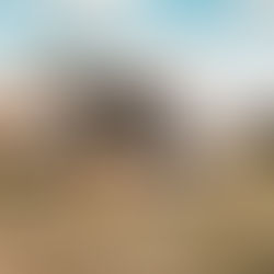 Armadillo & Joe - All about my Vanlife