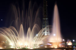 40908840101_4770b52d79_k (1)