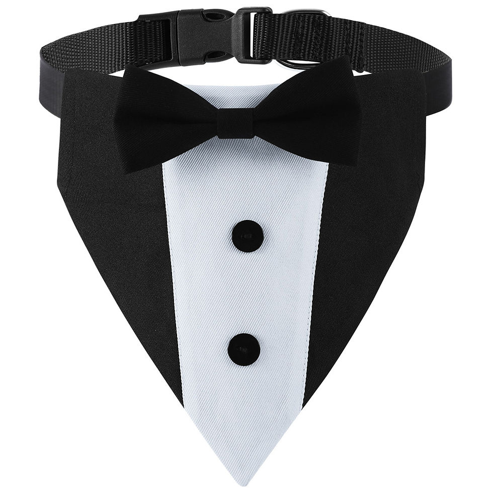 Thumbnail: Elegant Pet Bow Tie Collar