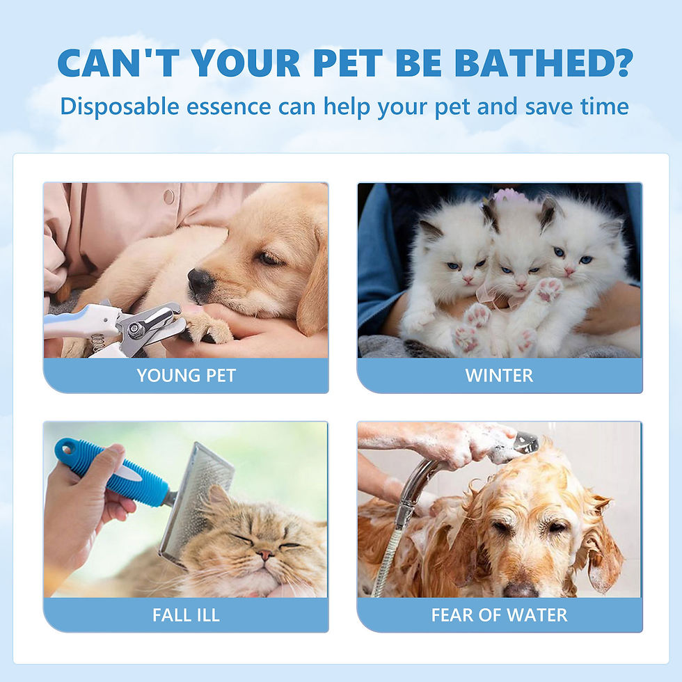 Thumbnail: Waterless Pet Cleansing Foam