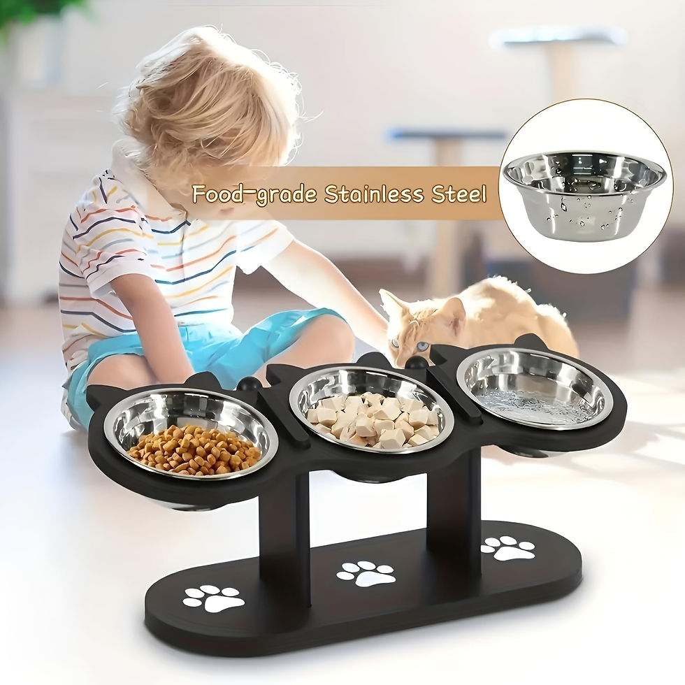 Thumbnail: Elevated Cat Feeding Station