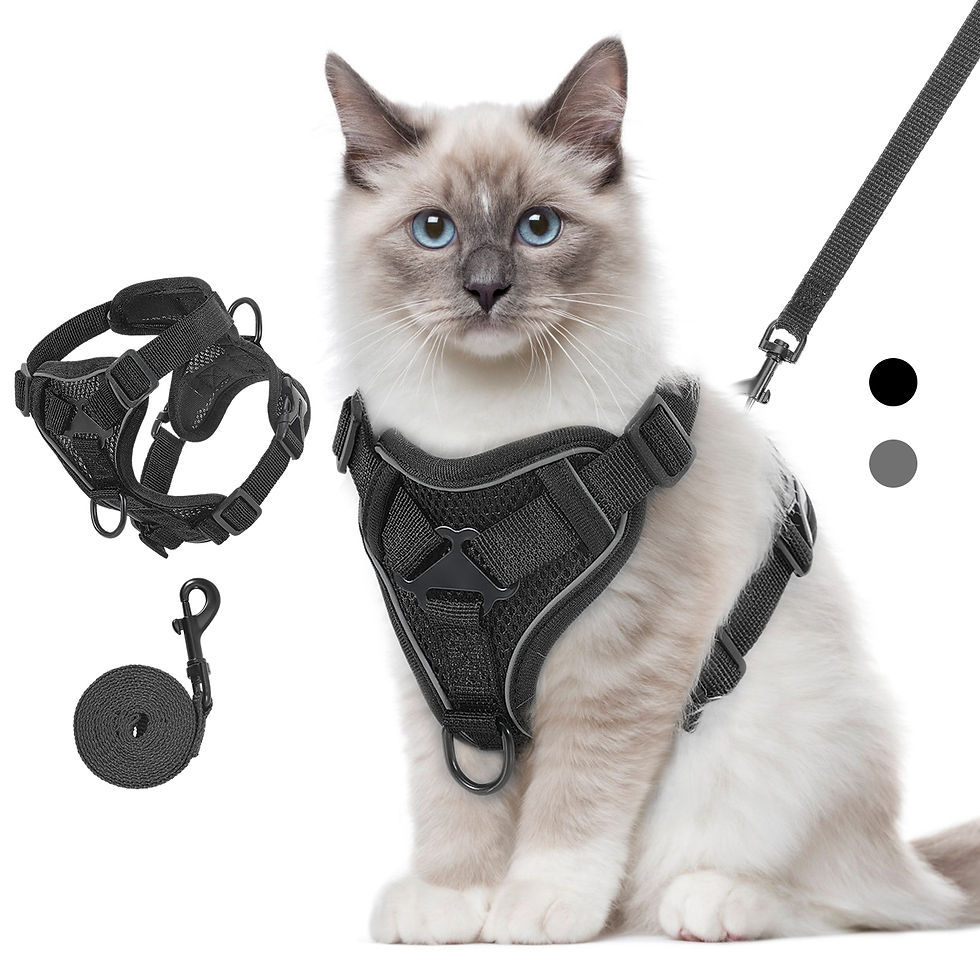 Thumbnail: Comfort Cat Harness & Lead Set