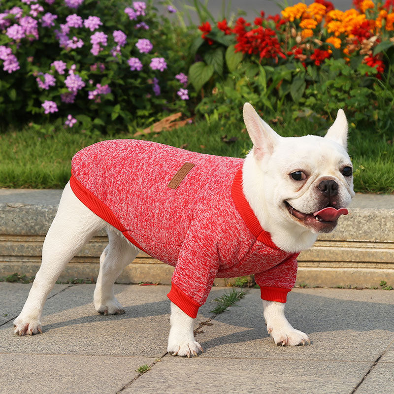 Thumbnail: Warm Winter Dog Jumper
