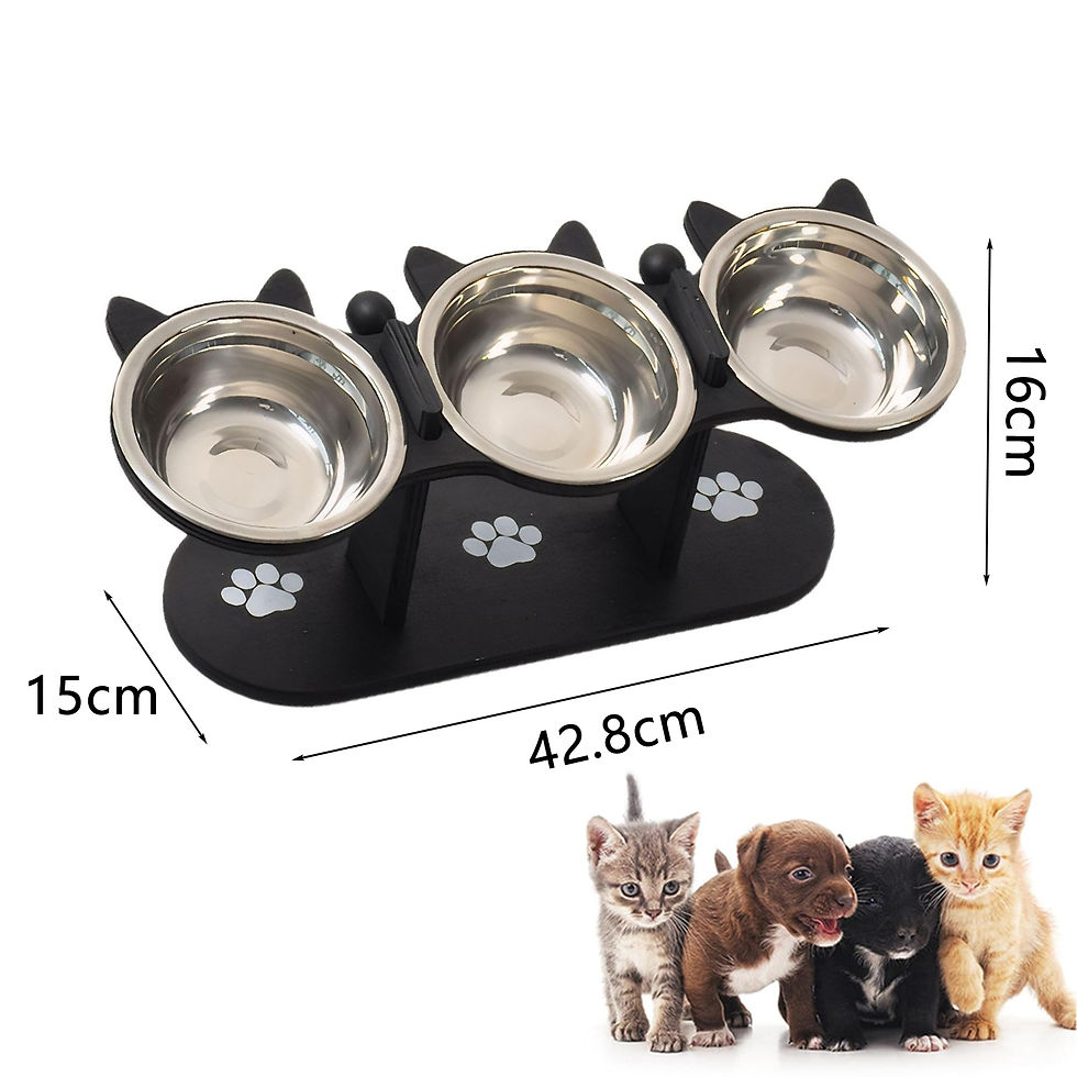 Thumbnail: Elevated Cat Feeding Station