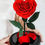 Thumbnail: I Heart U (Preserved Heart Rose Dome)