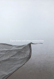 Paper leaves and other constructions_cov