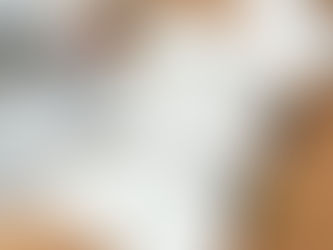 Crafting Realistic Terrain on a Budget for Your Model Train Layout