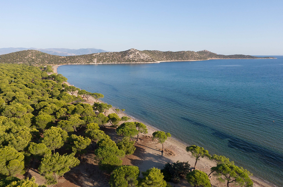 schinias beach, marathon, athens, greece
