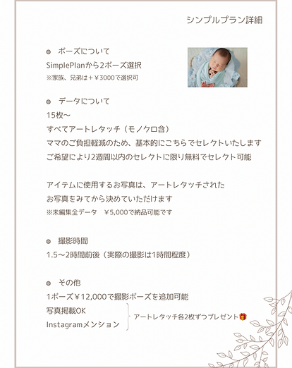 シンプルプラン詳細