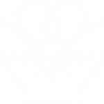 11.png