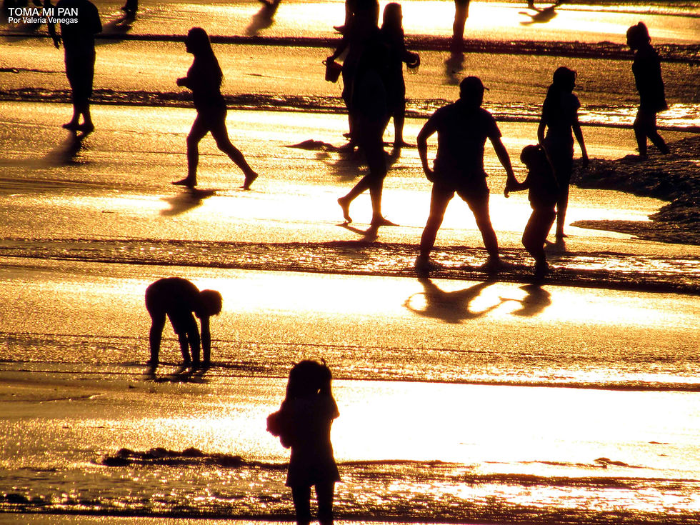 personas en la orilla mientras hay sunset
