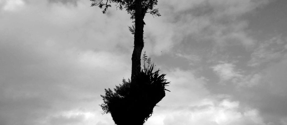 Behind microhistoria #26: Pan mal cortado.