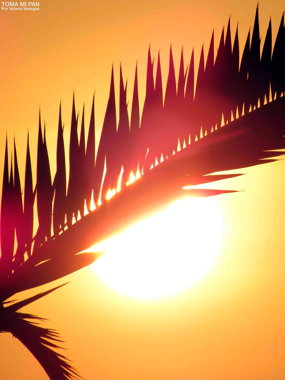 El sol se acuesta en Naplo en forma de sunset