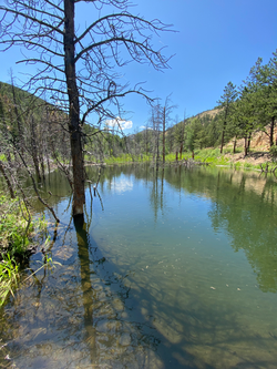 BeaverPond_LeftHandCanyon