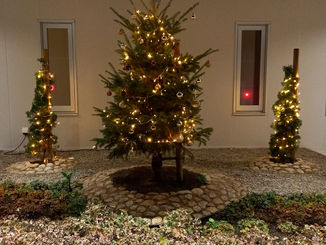 🎄もうすぐクリスマス🎄