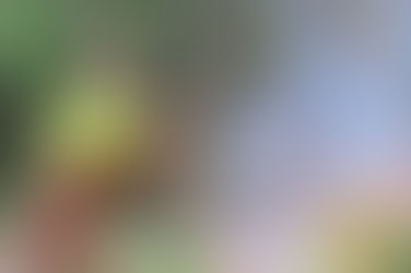 Silverton/Red-Mountain Interface Project Completed