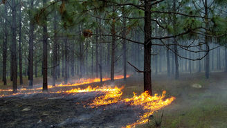 WINLAW PRESCRIBED BURN - MARCH 14TH COMMUNITY MEETING.
