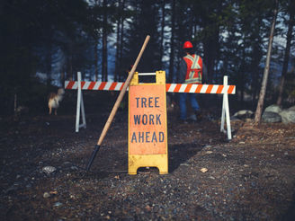 PONDEROSA ACTIVITIES