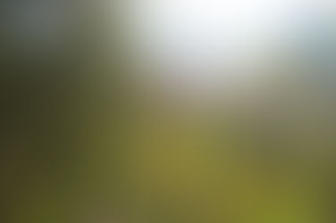 Harvesting to begin up Winlaw FSR