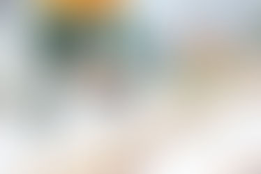 Harvesting to begin up Ponderosa FSR