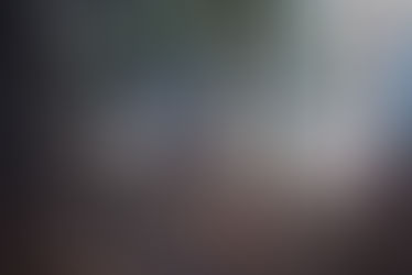 $247,000 for Wildland Interface work in the Village of New Denver