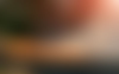 SLOCAN WUI PROJECT STARTS AGAIN