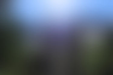 Silverton – Red Mountain Wildland-Urban Interface Project Winter Break