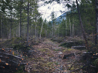 Wildland-Urban Interface Wildfire Protection Program gets another $75,000